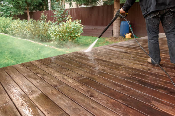 Best House Exterior Washing  in Carrizo Hill, TX