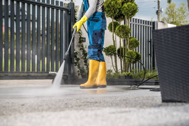 Best Oil Spill Cleanup  in Carrizo Hill, TX