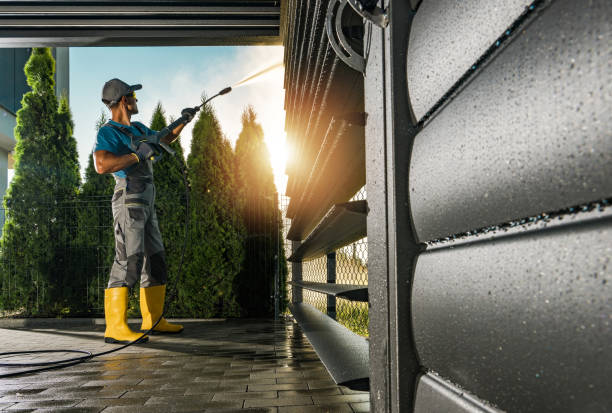 Best Solar Panel Cleaning  in Carrizo Hill, TX