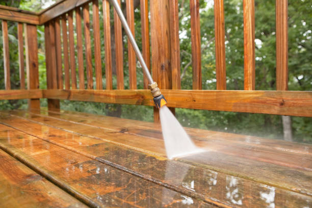 Best Gutter Cleaning  in Carrizo Hill, TX