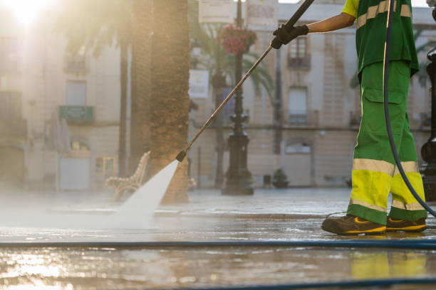 Best Building Exterior Washing  in Carrizo Hill, TX